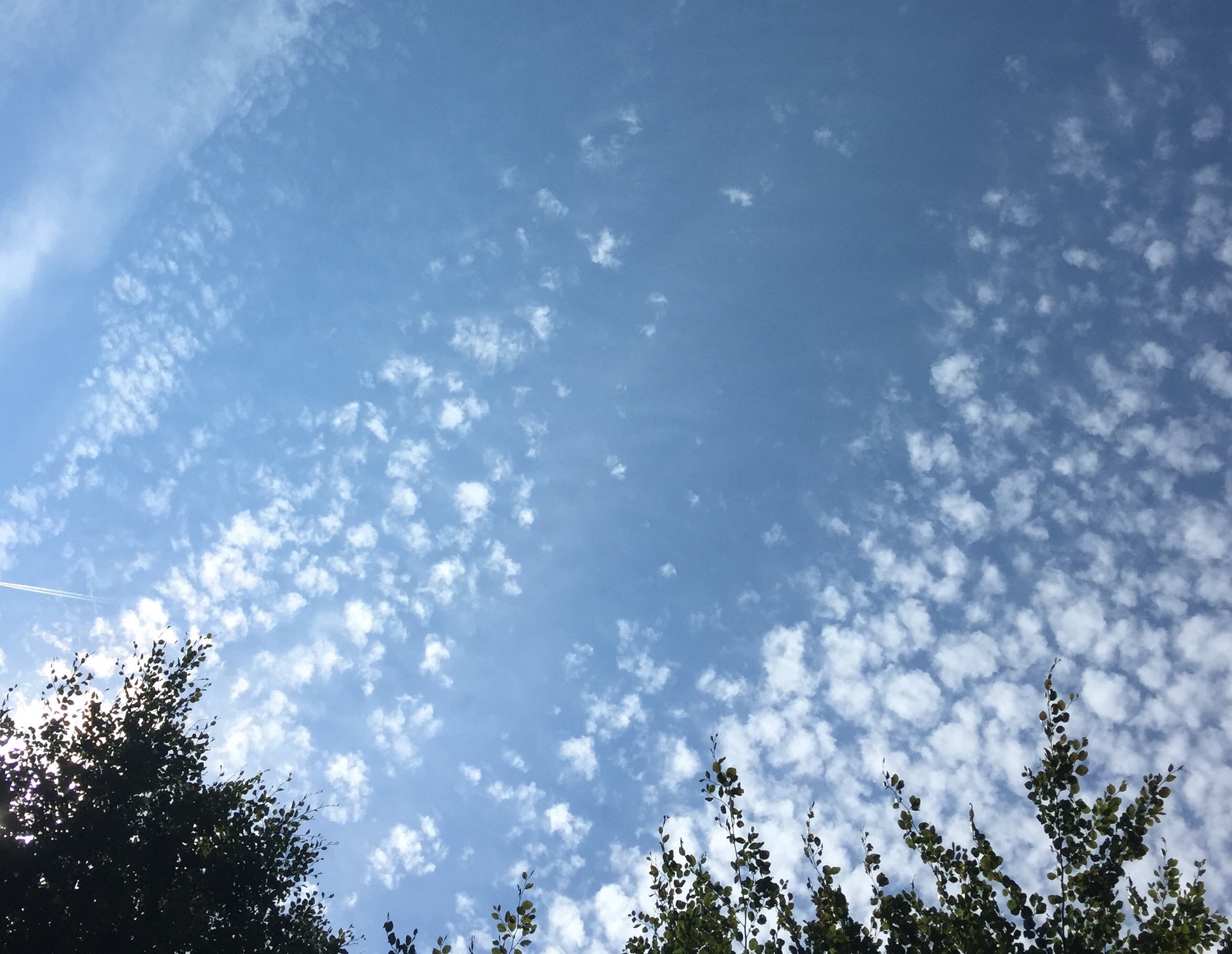 Droom van een vakantiewoning