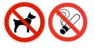 No smoking _ No pets accommodation